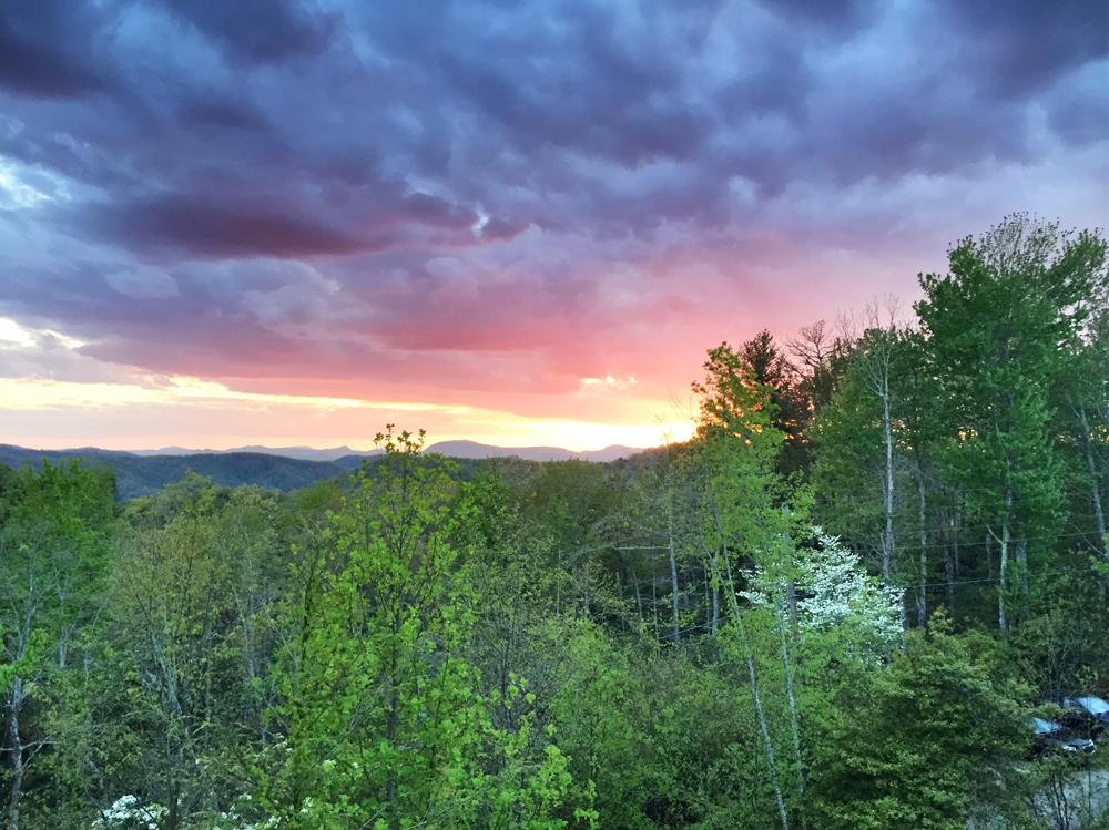Nature Photography | Carolina Sunset