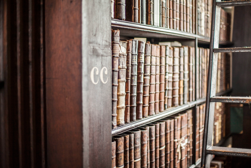 Travel Photography | The Library